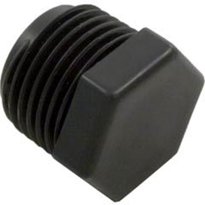 Picture of Plug Pentair Rainbow Automatic Feeder 320 1/2 NPT R172134