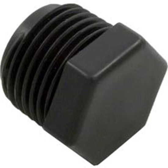 Picture of Plug Pentair Rainbow Automatic Feeder 320 1/2 NPT R172134