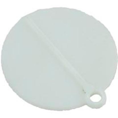 Picture of Trimmer Valve Plate Pentair/American Products Admiral 85002400