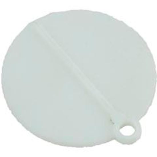 Picture of Trimmer Valve Plate Pentair/American Products Admiral 85002400
