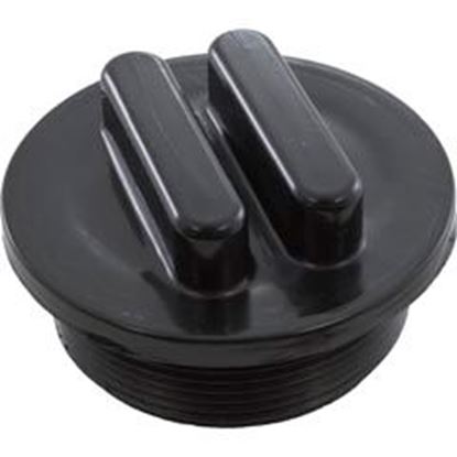 Picture of Plug Praher ABS Side Mount Valves 2"mpt Black E-19-S2B