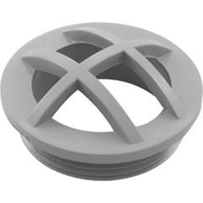 Picture of Grate Insert Gray 25560-001-000