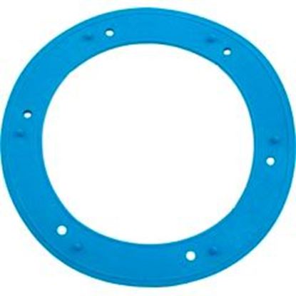 Picture of Gasket Pentair Small Niche Vinyl 05166-0001Z