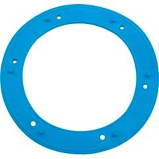 Picture of Gasket Pentair Small Niche Vinyl 05166-0001Z
