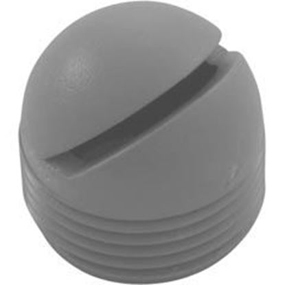 Picture of Aerator CMP 3/4"mpt Round Slotted Gray 25558-101-000