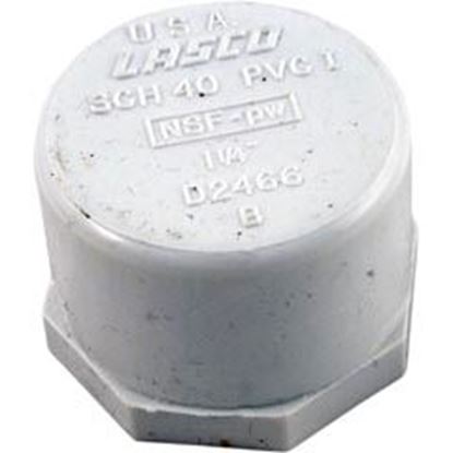 Picture of Cap Lasco 1-1/4" Female Pipe Thread 448-012