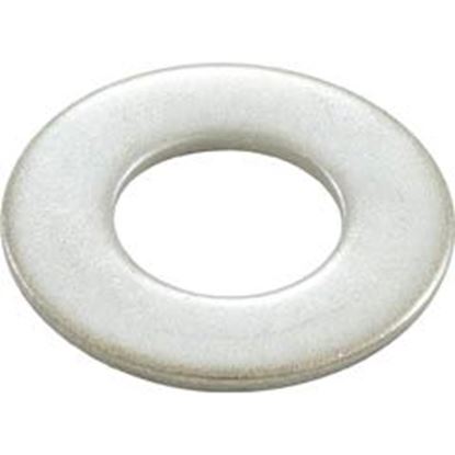Picture of WasherPentair EQ SerStrainerFlat5/8"id x 1-5/16"odss 356789