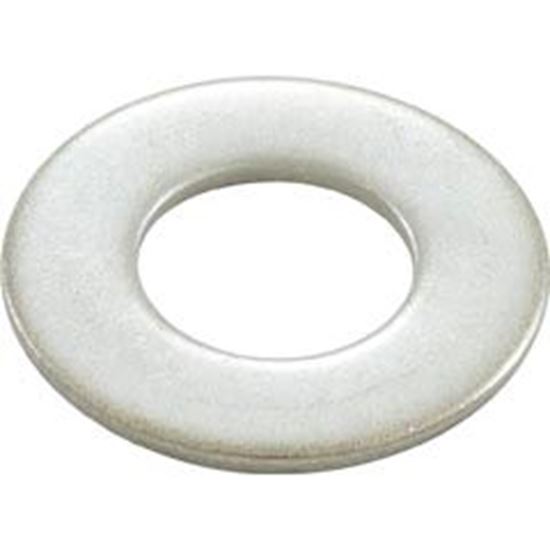 Picture of WasherPentair EQ SerStrainerFlat5/8"id x 1-5/16"odss 356789
