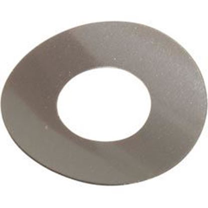 Picture of Gasket Blue-White A-100 Chemical Pump Head Spacer A-031