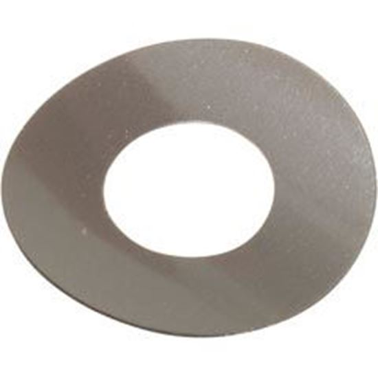 Picture of Gasket Blue-White A-100 Chemical Pump Head Spacer A-031