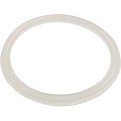 Picture of Gasket O-Ring Waterway Mini Storm 711-6910