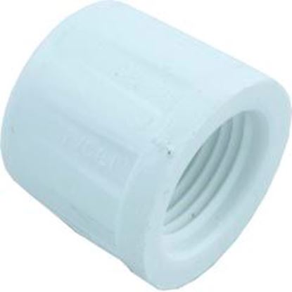 Picture of Cap Lasco 1/2" Female Pipe Thread 448-005