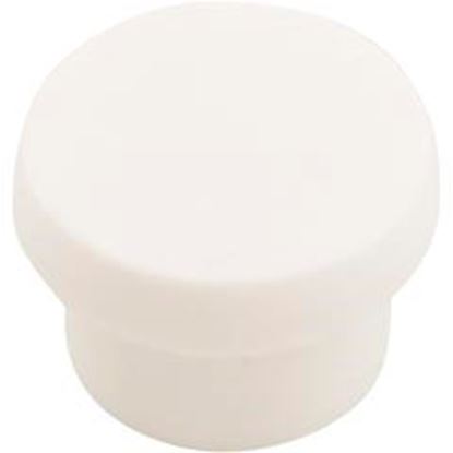Picture of Barb Plug 3/4"Slip For Gentekk Manifold BP34