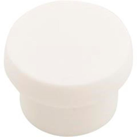 Picture of Barb Plug 3/4"Slip For Gentekk Manifold BP34