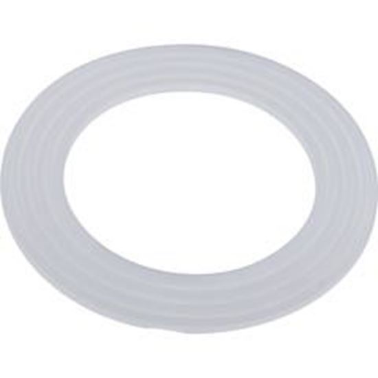 Picture of Gasket Wall Fitting Balboa Water Group/GG Suction 30115-V