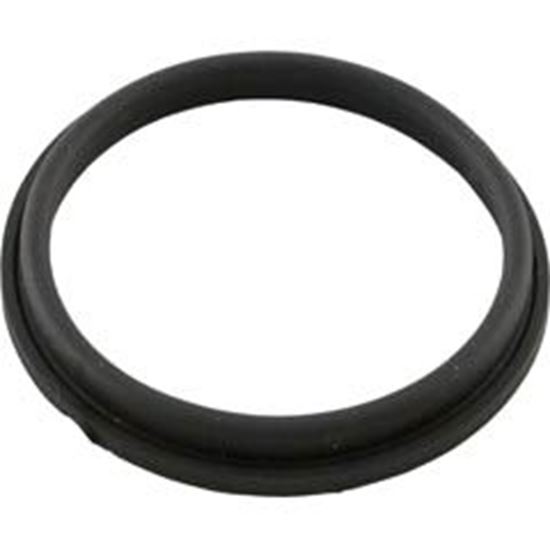 Picture of Valve Seal Valterra 1002-7N 2" Santoprene 1002-7N