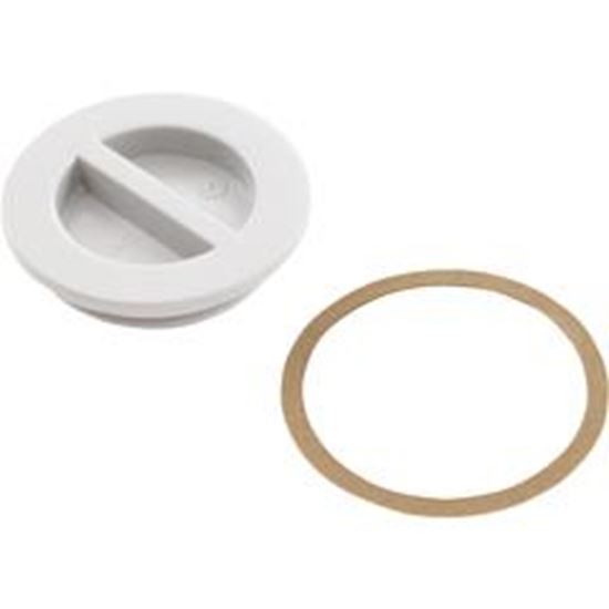Picture of 1.5In Npt Flat Plug 25542-000-000