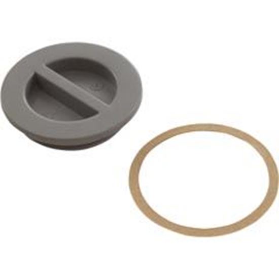 Picture of 1.5In Npt Flat Plug Gray 25542-001-000
