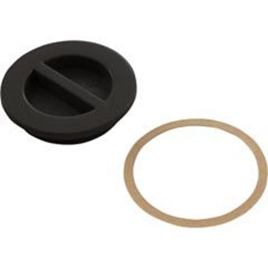 Picture of 1.5In Npt Flat Plug Black 25542-004-000