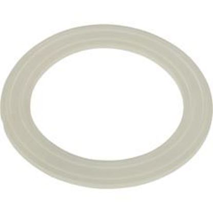 Picture of Gasket Balboa Water Group/HAI Slimline Suction/Hydro Jet 30-3804CLR