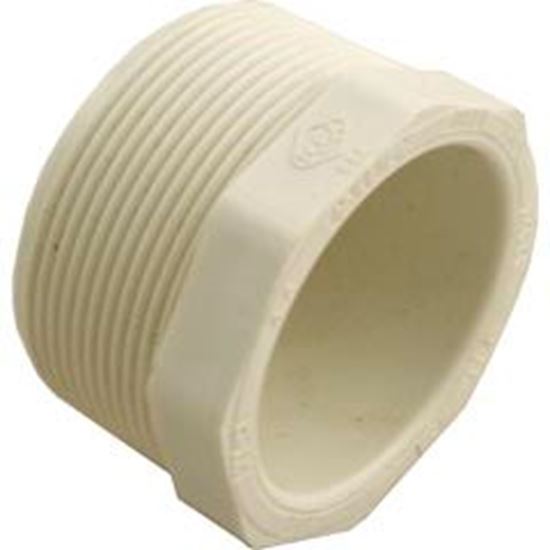 Picture of Plug Lasco 2" Male Pipe Thread 450-020