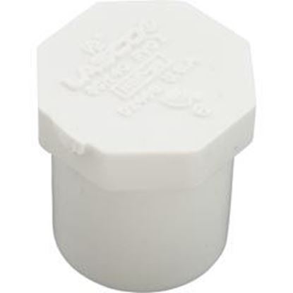 Picture of Plug Lasco 1/2" Spigot 449-005