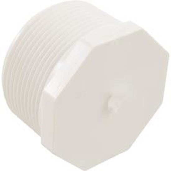 Picture of Plug Lasco 2-1/2" Male Pipe Thread 450-025