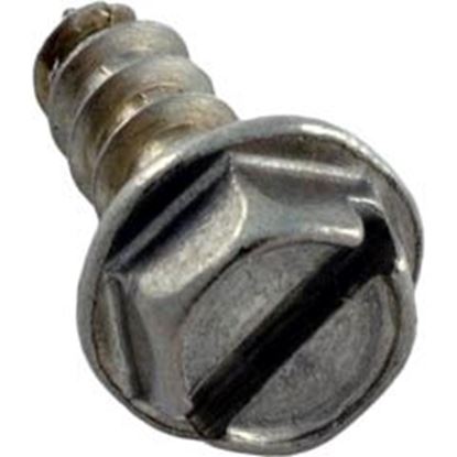 Picture of Lock ScrewPentair Rainbow Automatic Feeder 320 #8X 7/16 SL R01052