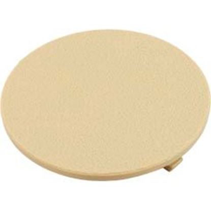 Picture of Logo Insert Blank Skimmer Lid Tan 25544-029-010