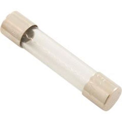 Picture of Fuse 6A AutoPilot Chlorinator 15626