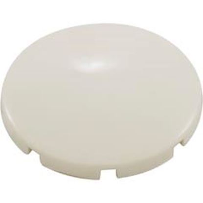 Picture of Air Injector Cap BWG INJ-8 Snap Cap Biscuit 13009-BC