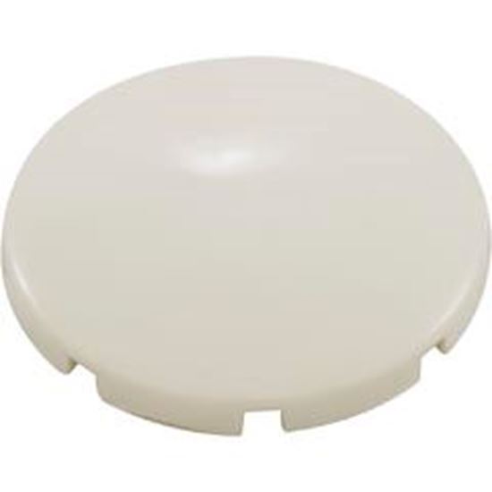 Picture of Air Injector Cap BWG INJ-8 Snap Cap Biscuit 13009-BC