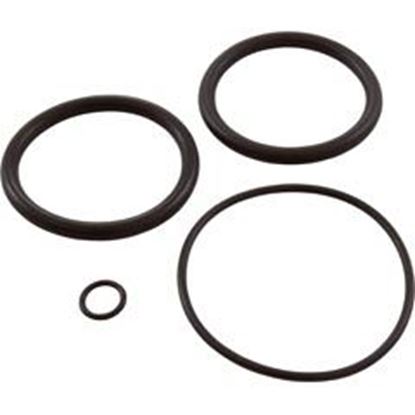 Picture of Valve O-Ring Kit Generic 410X 2" Slide Valve 952281