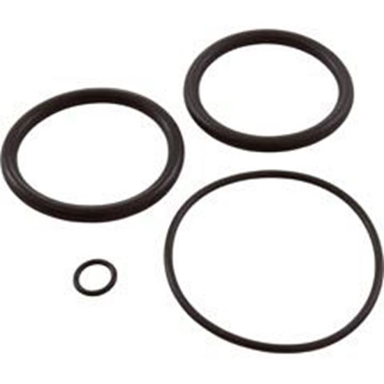 Picture of Valve O-Ring Kit Generic 410X 2" Slide Valve 952281