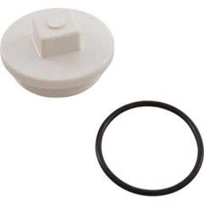 Picture of Plug Main Drain 2" Gunite 25525-000-000