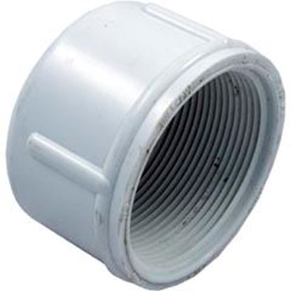 Picture of Cap Lasco 2" Female Pipe Thread 448-020