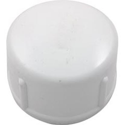 Picture of Cap Lasco 2" Slip 447-020