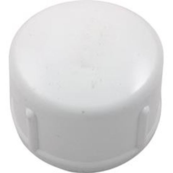 Picture of Cap Lasco 2" Slip 447-020