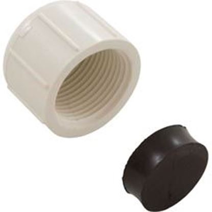 Picture of Drain Cap W Cooper Ranger RS-16/18 1"fpt w/gasket 2022