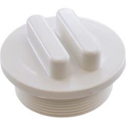 Picture of Plug Praher ABS Side Mount Valves 2"mpt White E-19-S2